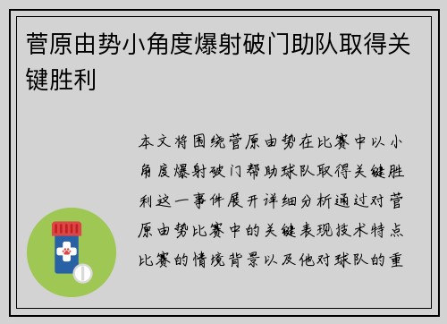 菅原由势小角度爆射破门助队取得关键胜利 菅原由势小角度爆射破门助队取得关键胜利