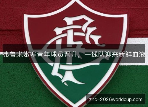 弗鲁米嫩塞青年球员晋升，一线队迎来新鲜血液